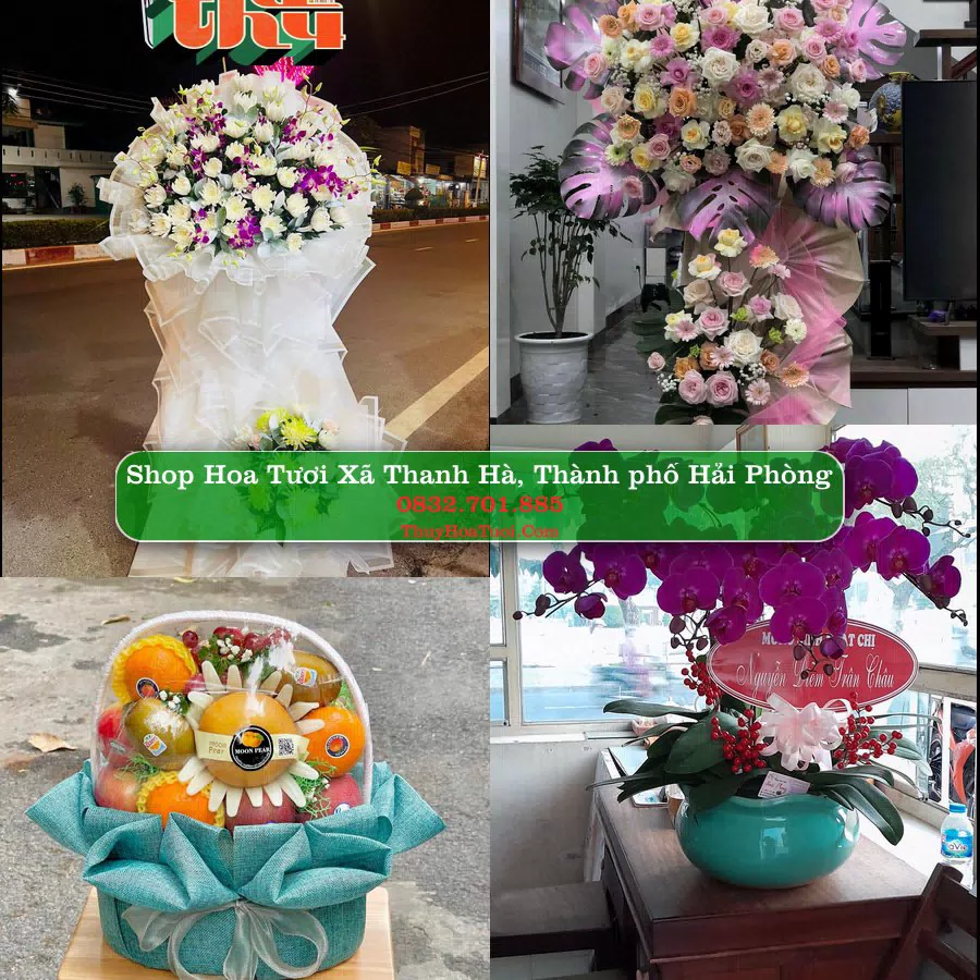 Shop hoa tươi Xã Thanh Hà, Thành phố Hải Phòng - ThuyHoaTuoi.Com giao hoa tận nơi