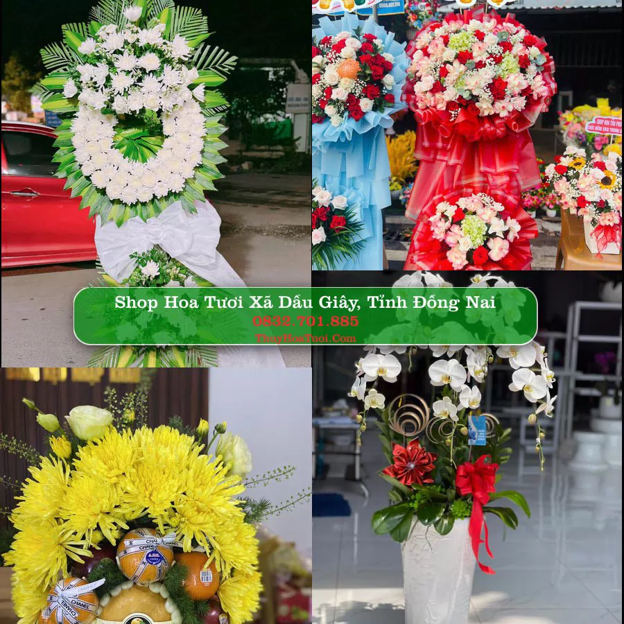 Shop hoa tươi Xã Dầu Giây, Tỉnh Đồng Nai - ThuyHoaTuoi.Com giao hoa tận nơi