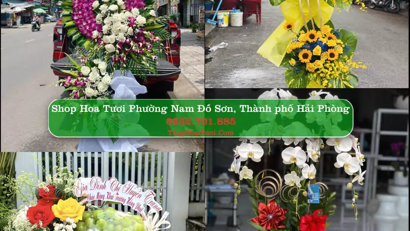 Shop Hoa Tươi Phường Nam Đồ Sơn - Thành phố Hải Phòng