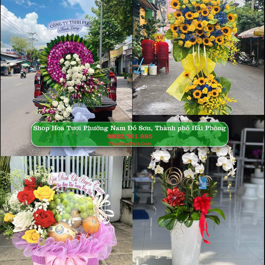 Shop Hoa Tươi Phường Nam Đồ Sơn - Thành phố Hải Phòng