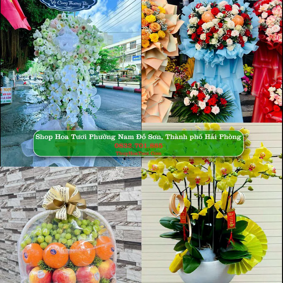Shop hoa tươi Phường Nam Đồ Sơn, Thành phố Hải Phòng - ThuyHoaTuoi.Com giao hoa tận nơi