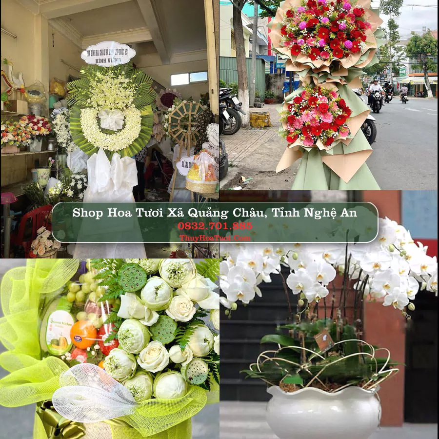 Shop Hoa Tươi Xã Quảng Châu - Tỉnh Nghệ An