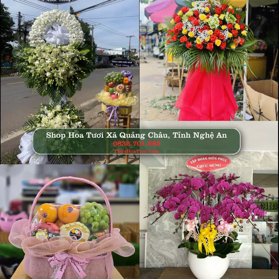 Shop hoa tươi Xã Quảng Châu, Tỉnh Nghệ An - ThuyHoaTuoi.Com giao hoa tận nơi