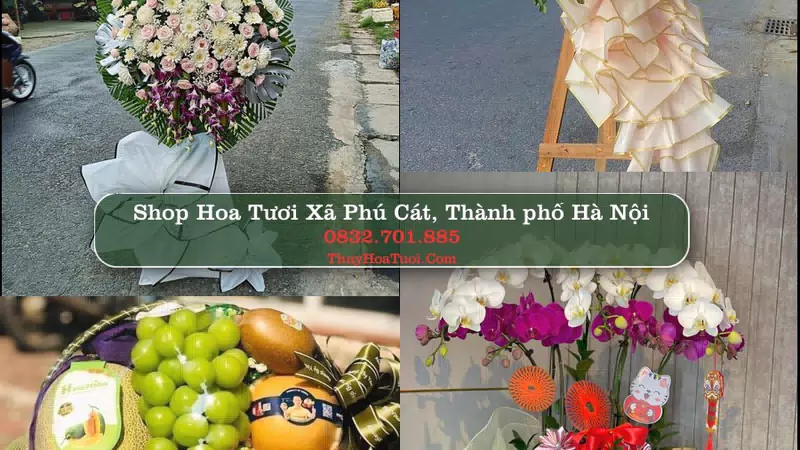 Shop Hoa Tươi Xã Phú Cát - Thành phố Hà Nội
