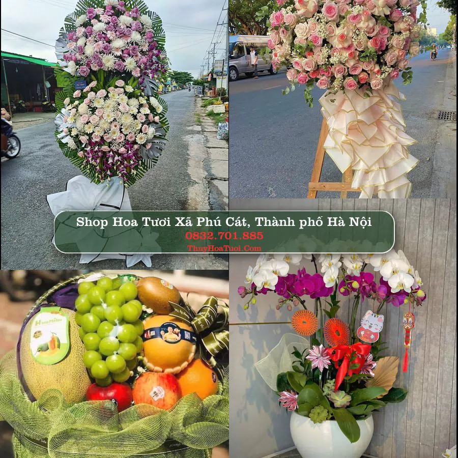 Shop Hoa Tươi Xã Phú Cát - Thành phố Hà Nội