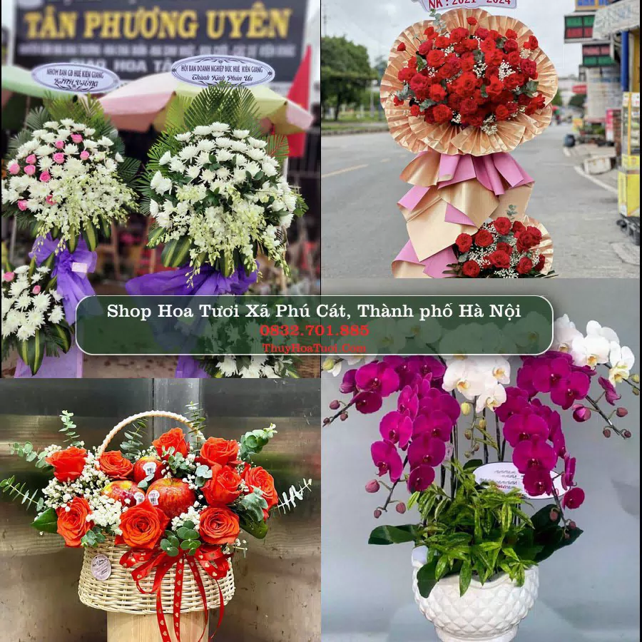 Shop hoa tươi Xã Phú Cát, Thành phố Hà Nội - ThuyHoaTuoi.Com giao hoa tận nơi