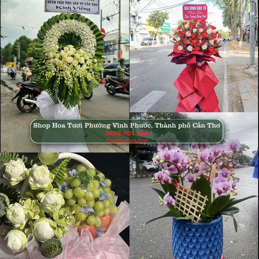 Shop hoa tươi Phường Vĩnh Phước, Thành phố Cần Thơ - ThuyHoaTuoi.Com giao hoa tận nơi