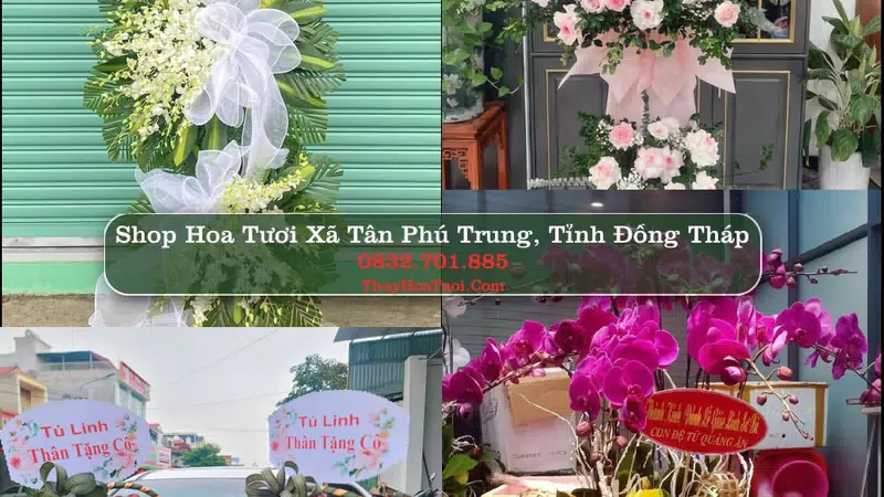 Shop Hoa Tươi Xã Tân Phú Trung - Tỉnh Đồng Tháp