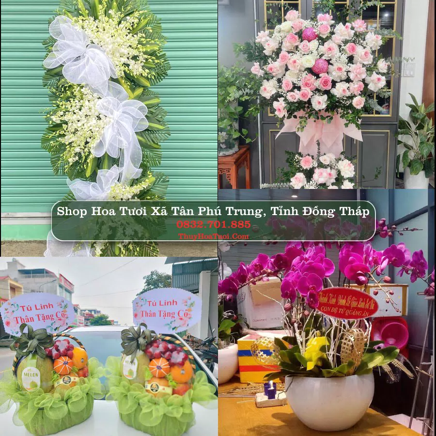 Shop Hoa Tươi Xã Tân Phú Trung - Tỉnh Đồng Tháp