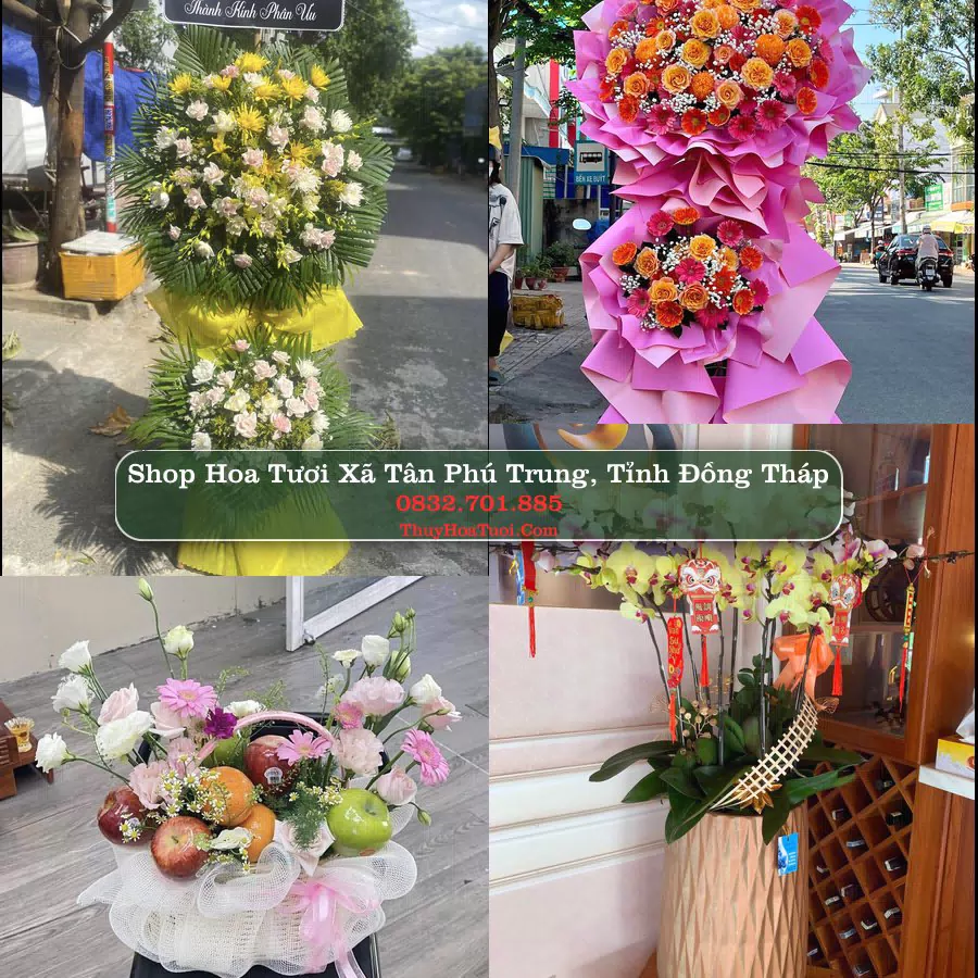 Shop hoa tươi Xã Tân Phú Trung, Tỉnh Đồng Tháp - ThuyHoaTuoi.Com giao hoa tận nơi