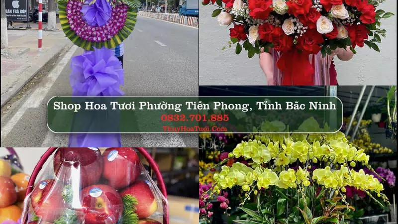 Shop Hoa Tươi Phường Tiền Phong - Tỉnh Bắc Ninh
