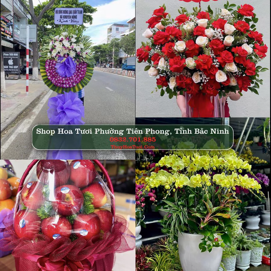 Shop Hoa Tươi Phường Tiền Phong - Tỉnh Bắc Ninh