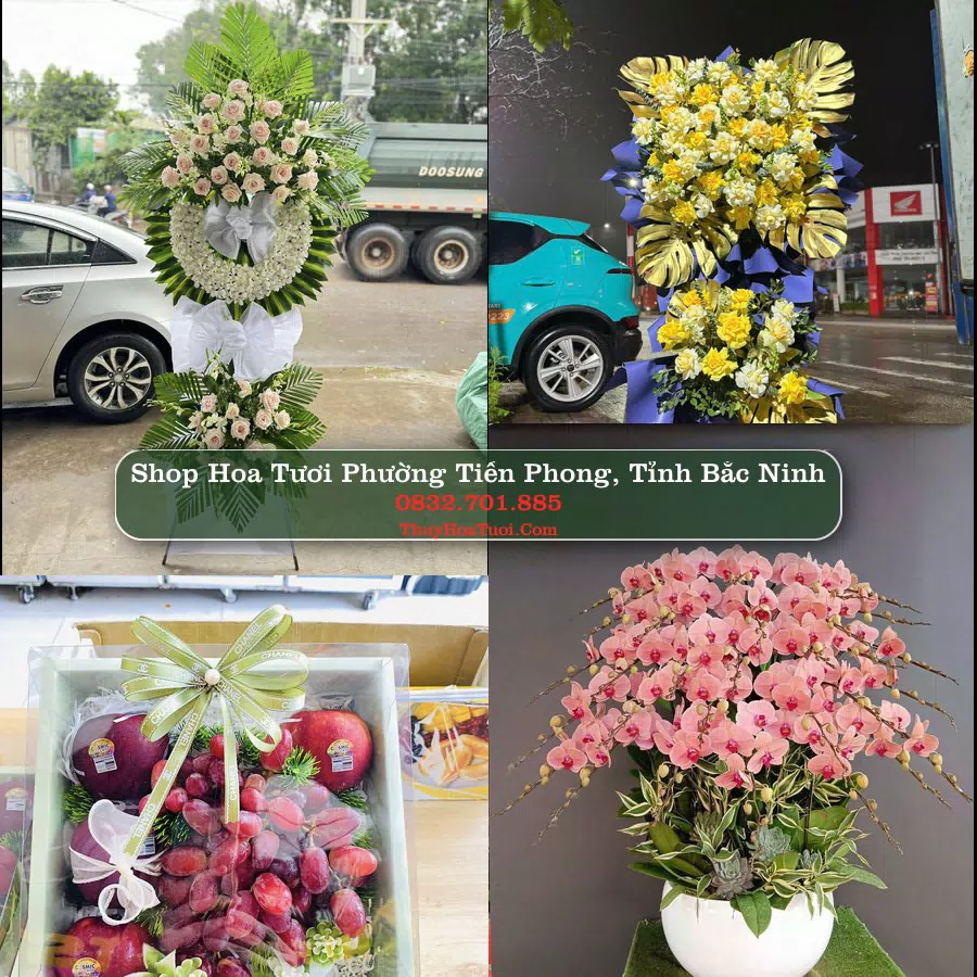 Shop hoa tươi Phường Tiền Phong, Tỉnh Bắc Ninh - ThuyHoaTuoi.Com giao hoa tận nơi