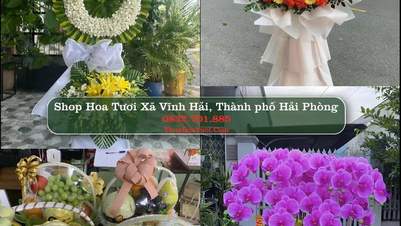 Shop Hoa Tươi Xã Vĩnh Hải - Thành phố Hải Phòng