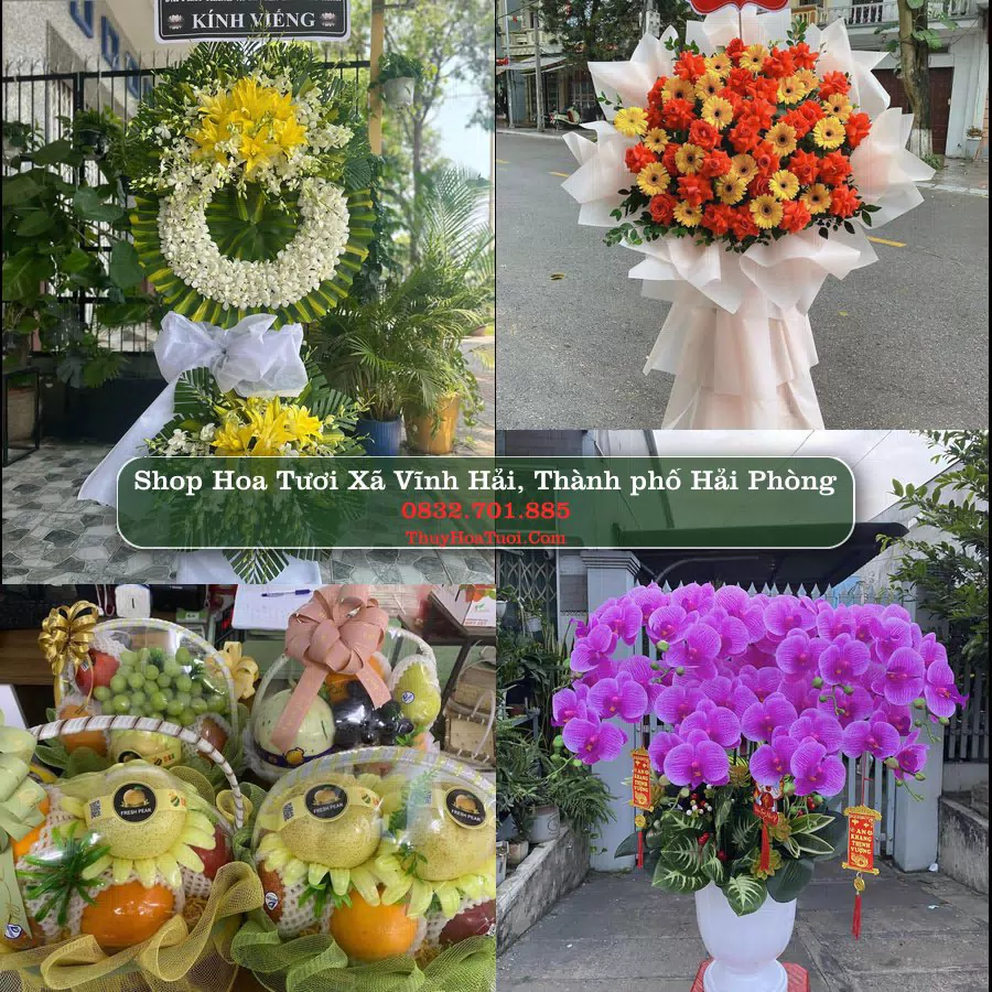 Shop Hoa Tươi Xã Vĩnh Hải - Thành phố Hải Phòng