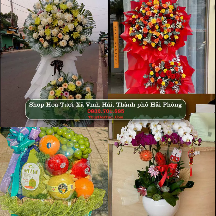 Shop hoa tươi Xã Vĩnh Hải, Thành phố Hải Phòng - ThuyHoaTuoi.Com giao hoa tận nơi