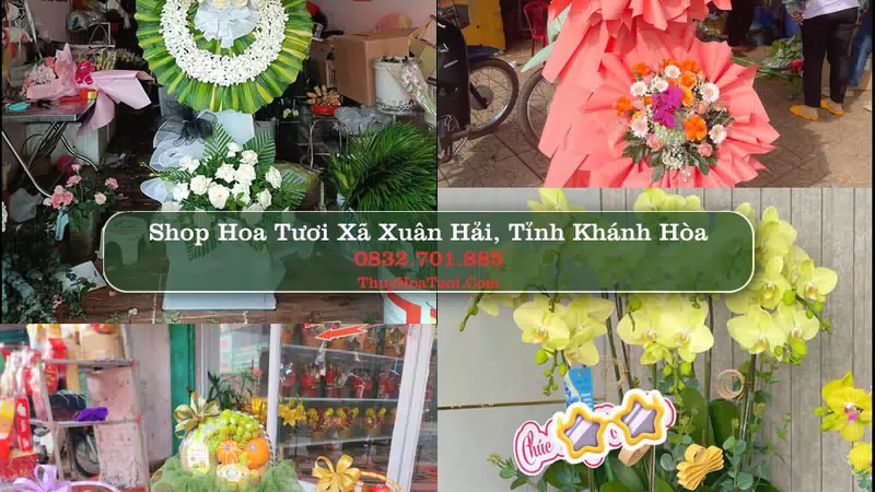 Shop Hoa Tươi Xã Xuân Hải - Tỉnh Khánh Hòa