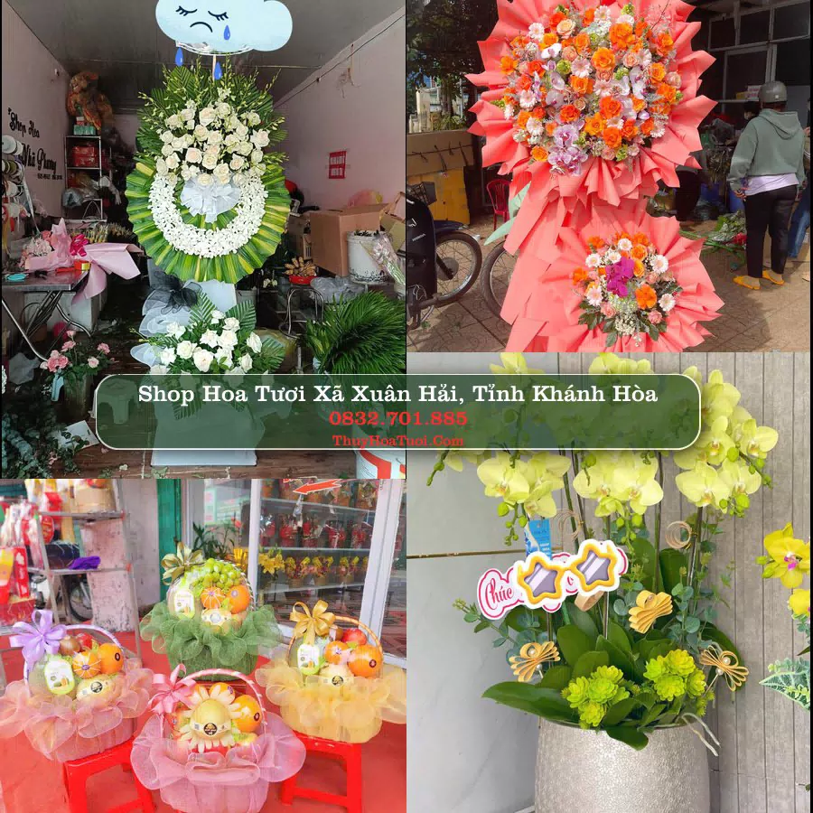 Shop Hoa Tươi Xã Xuân Hải - Tỉnh Khánh Hòa
