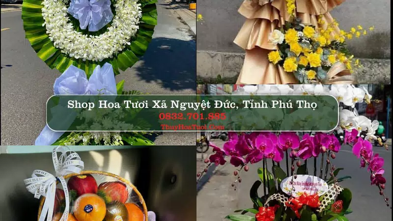 Shop Hoa Tươi Xã Nguyệt Đức - Tỉnh Phú Thọ