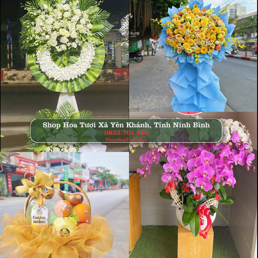 Shop hoa tươi Xã Yên Khánh, Tỉnh Ninh Bình - ThuyHoaTuoi.Com giao hoa tận nơi