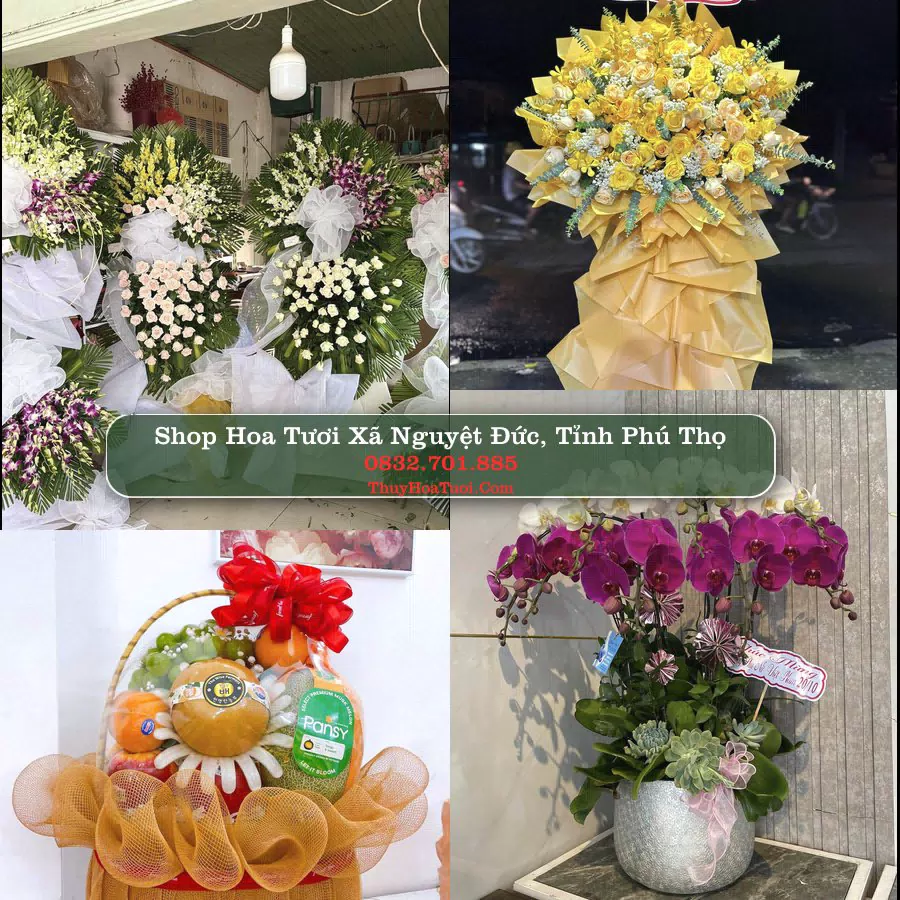 Shop hoa tươi Xã Nguyệt Đức, Tỉnh Phú Thọ - ThuyHoaTuoi.Com giao hoa tận nơi