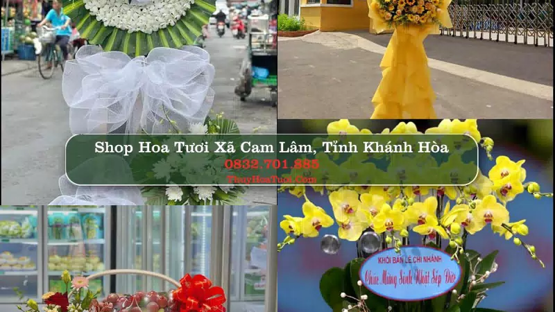 Shop Hoa Tươi Xã Cam Lâm - Tỉnh Khánh Hòa