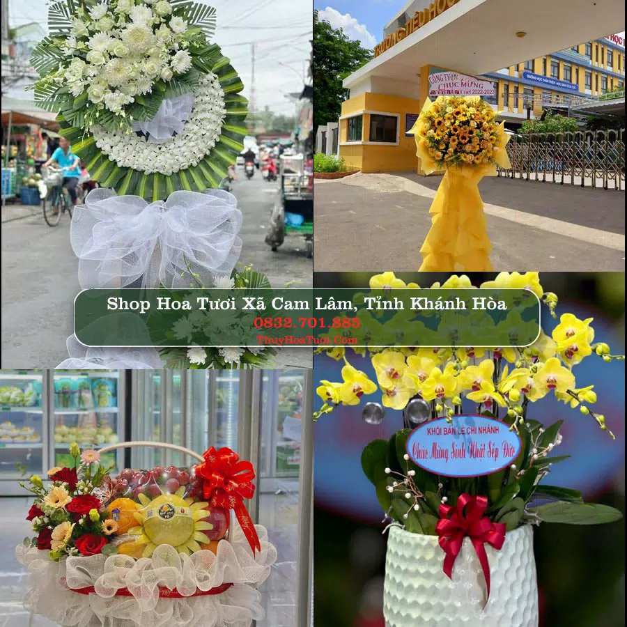 Shop Hoa Tươi Xã Cam Lâm - Tỉnh Khánh Hòa