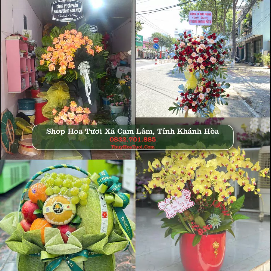 Shop hoa tươi Xã Cam Lâm, Tỉnh Khánh Hòa - ThuyHoaTuoi.Com giao hoa tận nơi