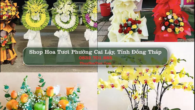 Shop Hoa Tươi Phường Cai Lậy - Tỉnh Đồng Tháp