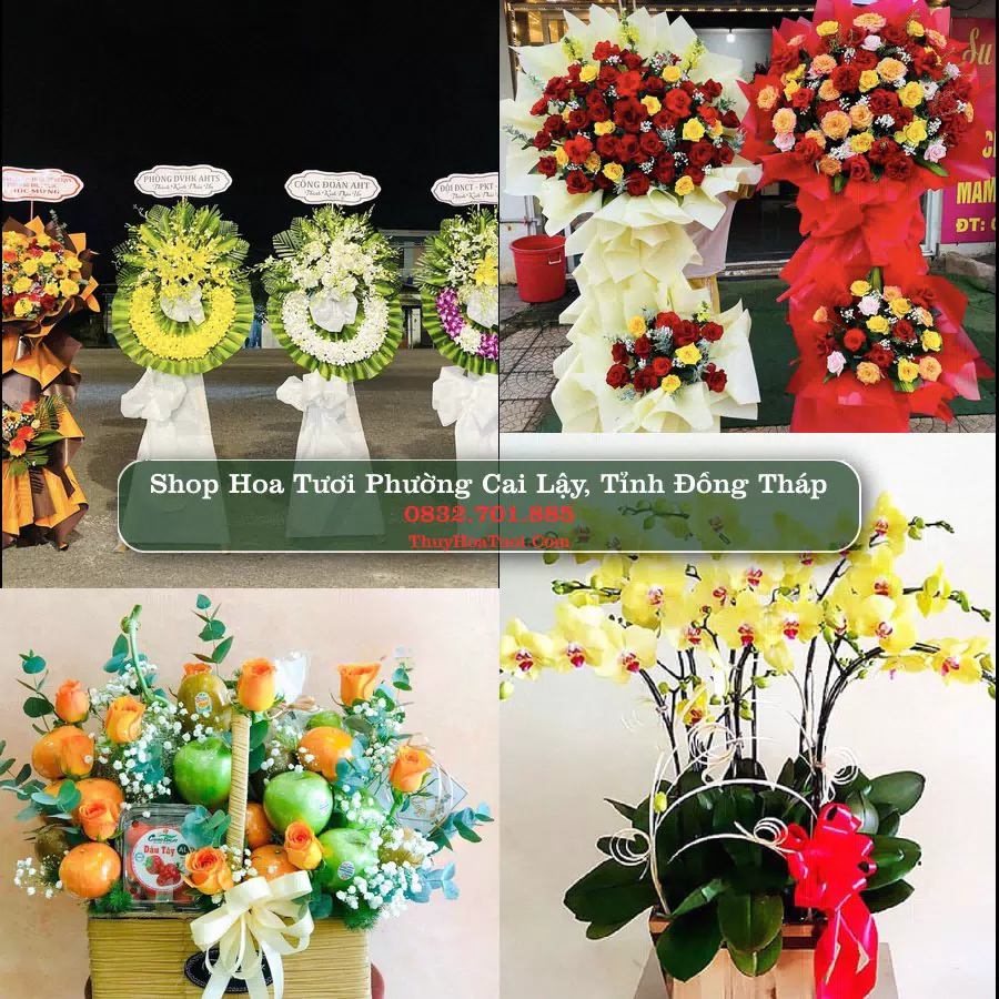 Shop Hoa Tươi Phường Cai Lậy - Tỉnh Đồng Tháp