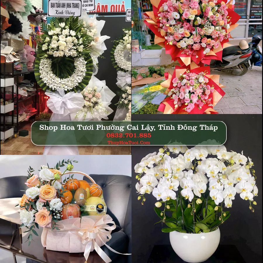 Shop hoa tươi Phường Cai Lậy, Tỉnh Đồng Tháp - ThuyHoaTuoi.Com giao hoa tận nơi