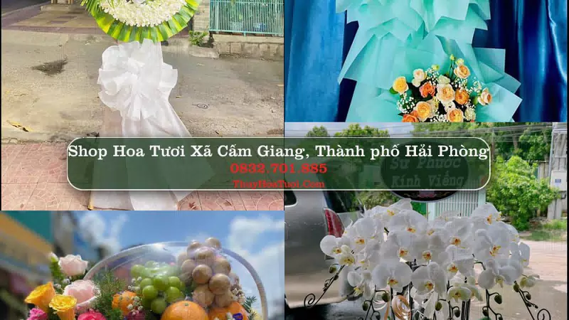 Shop Hoa Tươi Xã Cẩm Giang - Thành phố Hải Phòng