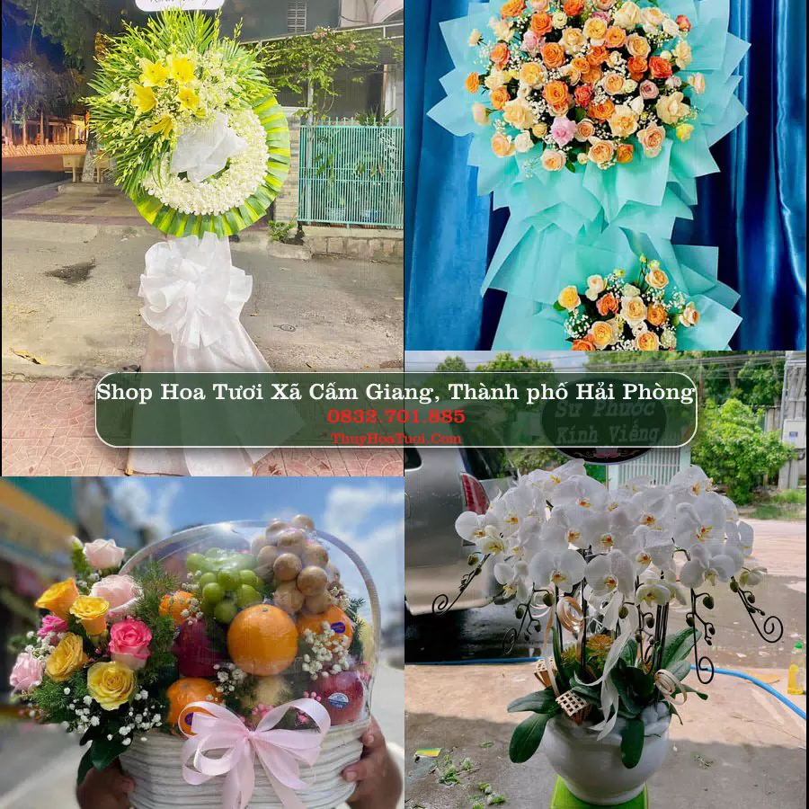 Shop Hoa Tươi Xã Cẩm Giang - Thành phố Hải Phòng