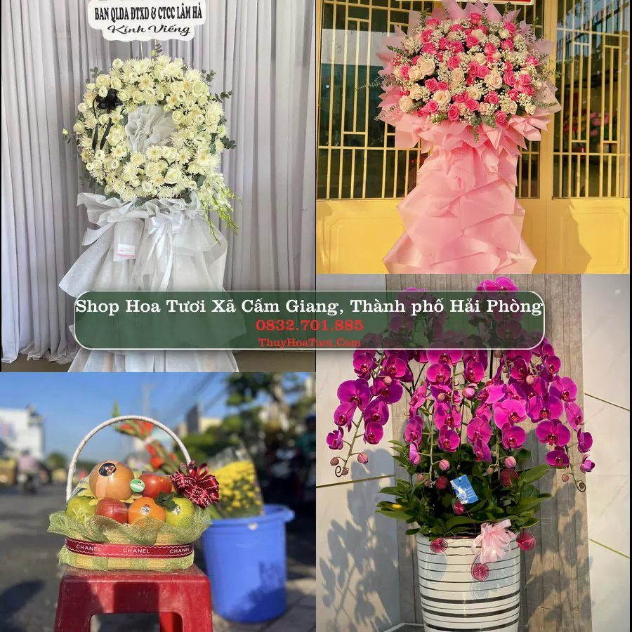 Shop hoa tươi Xã Cẩm Giang, Thành phố Hải Phòng - ThuyHoaTuoi.Com giao hoa tận nơi