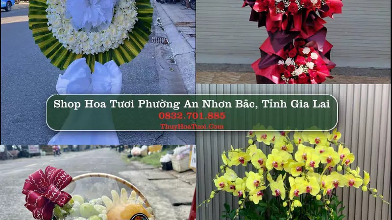 Shop Hoa Tươi Phường An Nhơn Bắc - Tỉnh Gia Lai