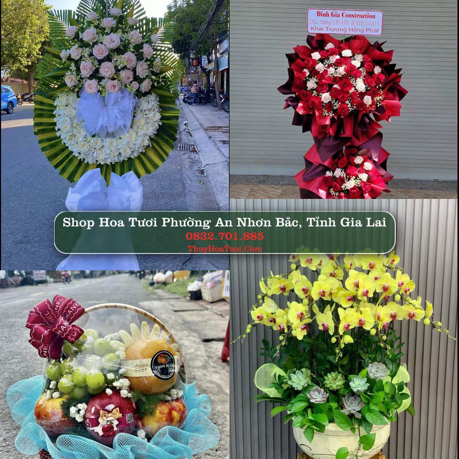 Shop Hoa Tươi Phường An Nhơn Bắc - Tỉnh Gia Lai