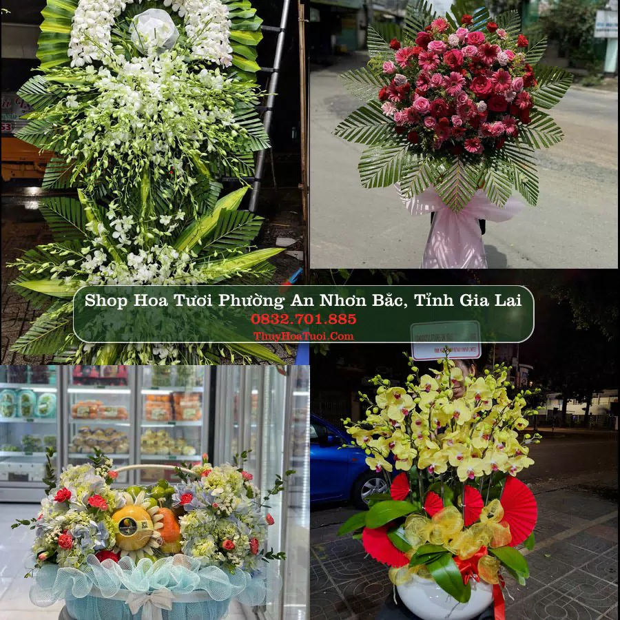 Shop hoa tươi Phường An Nhơn Bắc, Tỉnh Gia Lai - ThuyHoaTuoi.Com giao hoa tận nơi