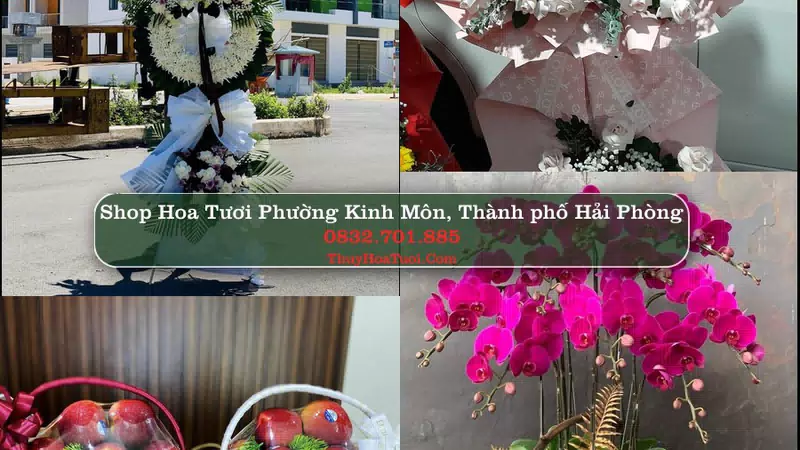 Shop Hoa Tươi Phường Kinh Môn - Thành phố Hải Phòng