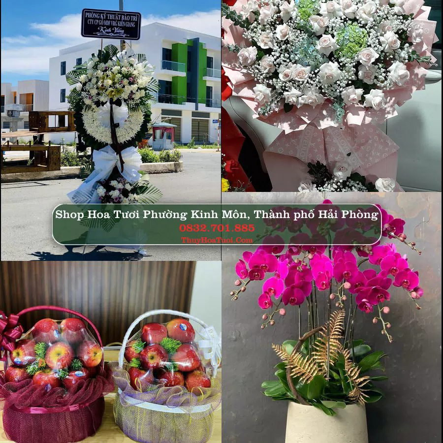 Shop Hoa Tươi Phường Kinh Môn - Thành phố Hải Phòng