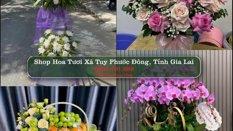 Shop Hoa Tươi Xã Tuy Phước Đông - Tỉnh Gia Lai