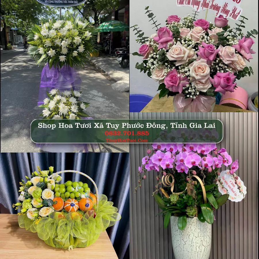 Shop Hoa Tươi Xã Tuy Phước Đông - Tỉnh Gia Lai