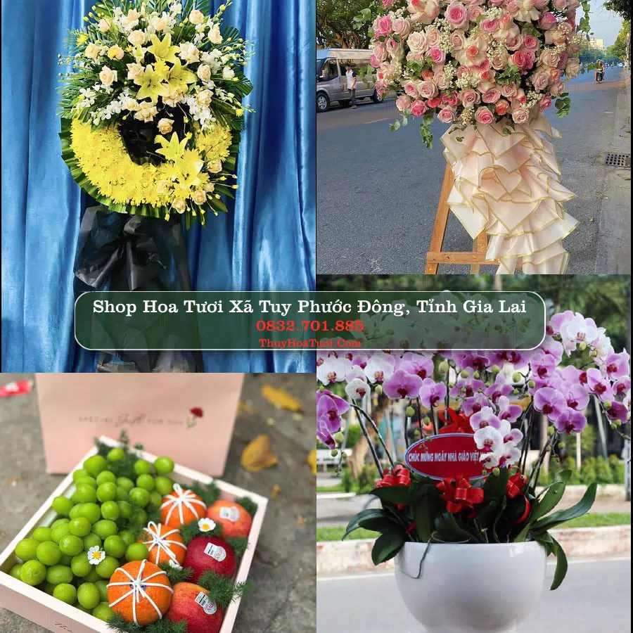 Shop hoa tươi Xã Tuy Phước Đông, Tỉnh Gia Lai - ThuyHoaTuoi.Com giao hoa tận nơi