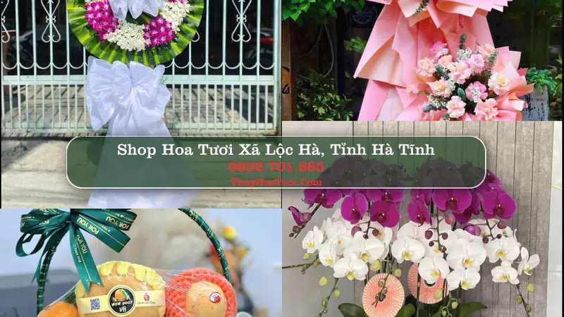 Shop Hoa Tươi Xã Lộc Hà - Tỉnh Hà Tĩnh