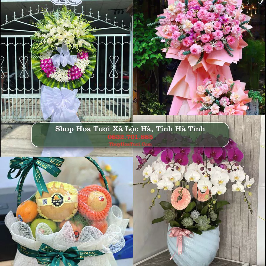 Shop Hoa Tươi Xã Lộc Hà - Tỉnh Hà Tĩnh