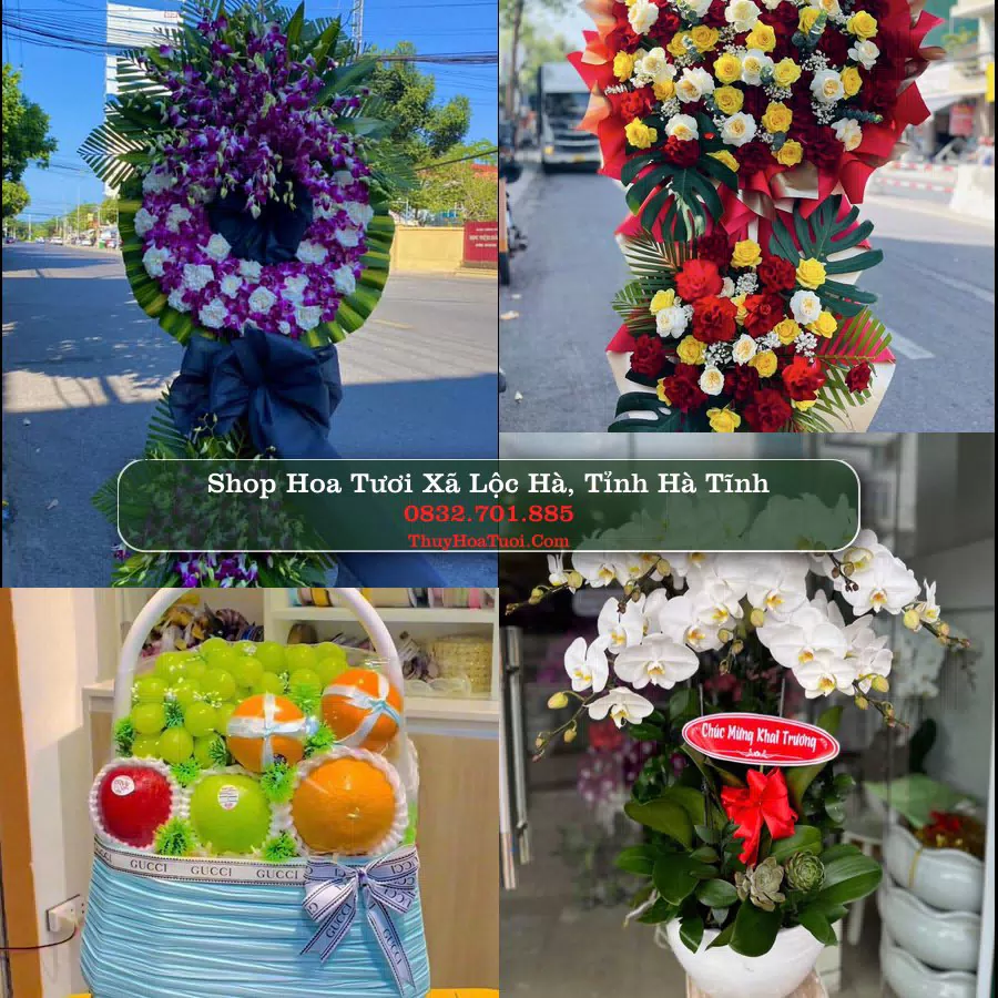 Shop hoa tươi Xã Lộc Hà, Tỉnh Hà Tĩnh - ThuyHoaTuoi.Com giao hoa tận nơi