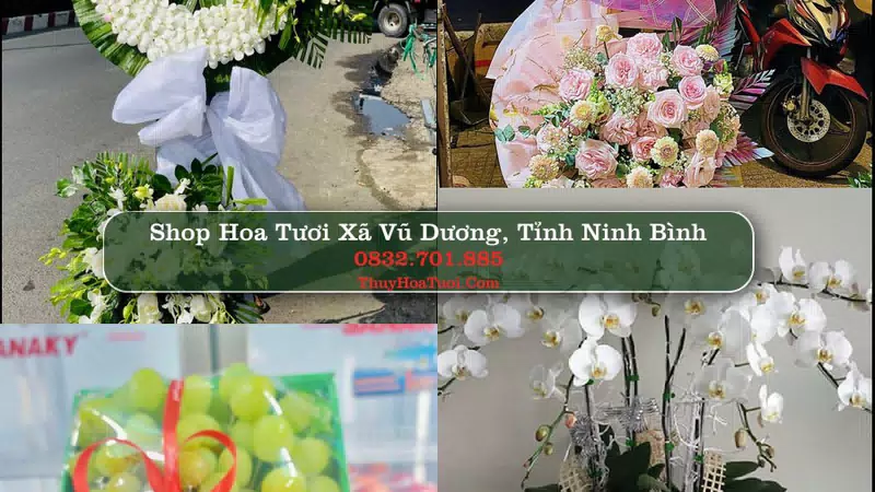 Shop Hoa Tươi Xã Vũ Dương - Tỉnh Ninh Bình