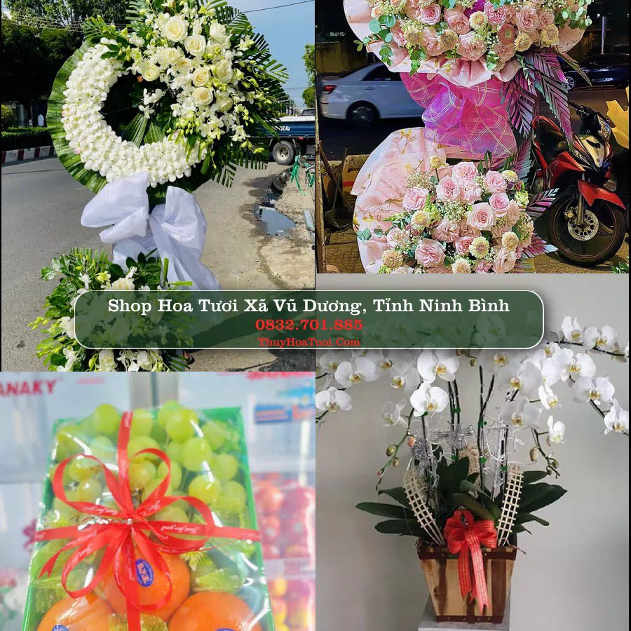 Shop Hoa Tươi Xã Vũ Dương - Tỉnh Ninh Bình