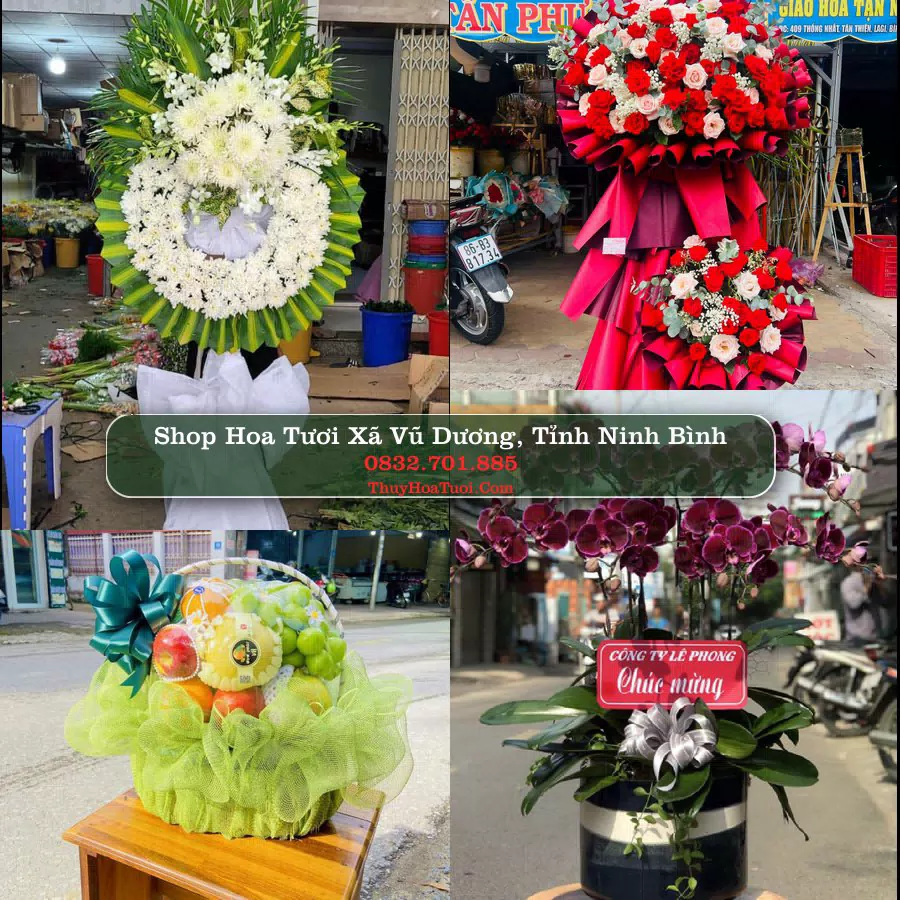 Shop hoa tươi Xã Vũ Dương, Tỉnh Ninh Bình - ThuyHoaTuoi.Com giao hoa tận nơi