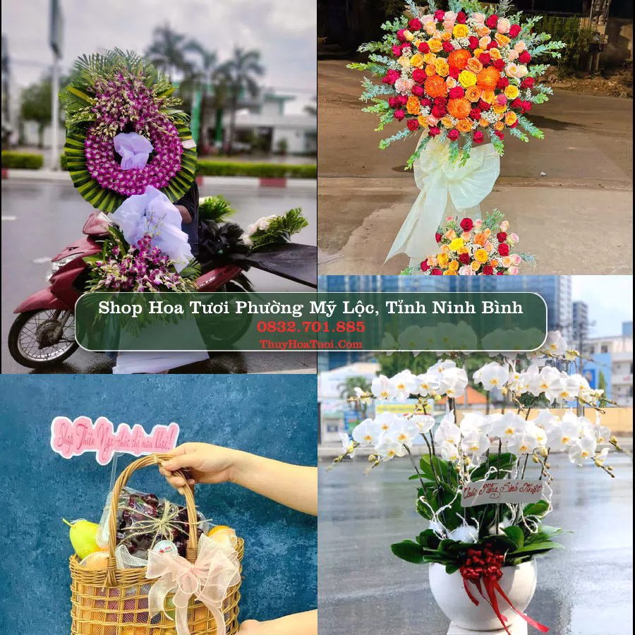 Shop hoa tươi Phường Mỹ Lộc, Tỉnh Ninh Bình - ThuyHoaTuoi.Com giao hoa tận nơi