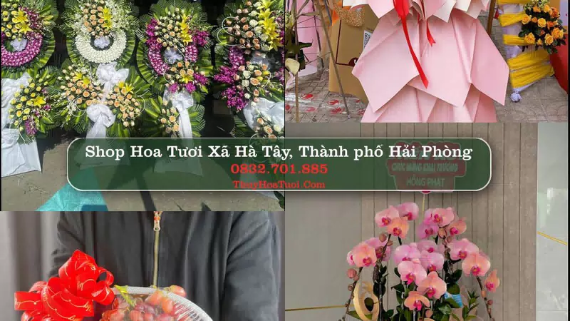 Shop Hoa Tươi Xã Hà Tây - Thành phố Hải Phòng